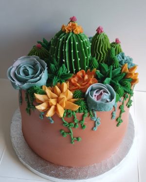 Succulent pot