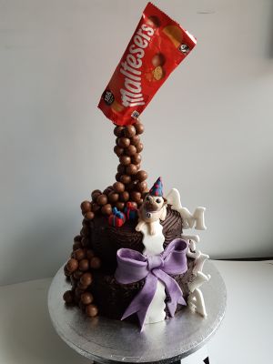 Anti-gravity malteser with pug & bow