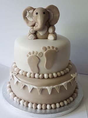 Elephant neutral baby shower