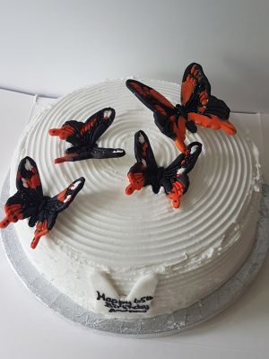 Red admiral butterflies