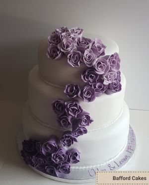 Ombre trailing roses