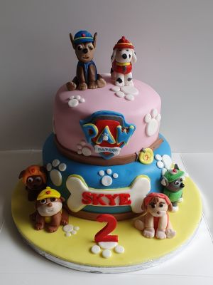 Paw patrol pink & blue