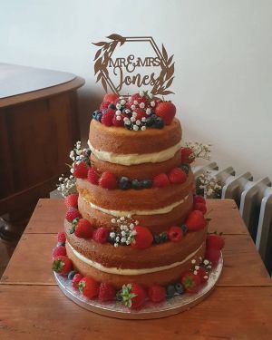 3 tier naked cake with fruit and gyp