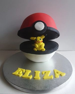 Pokeball/pikachu