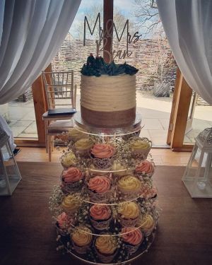 Rustic succulents cake and cupcakes
