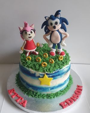 Sonic & Amy Rose