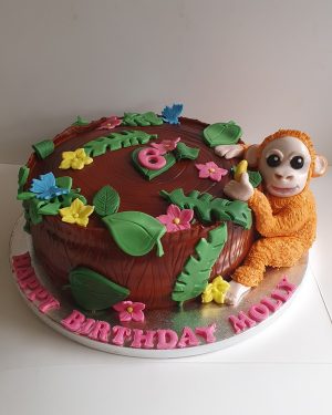 Orangutan & tree stump