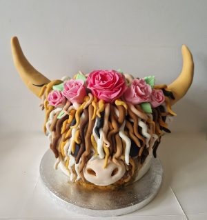 Highland cow with roses