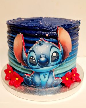 Ombre Stich