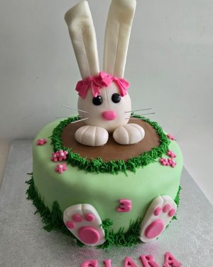 Emerging bunny