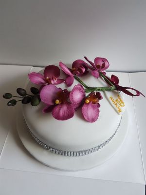 Purple orchid spray