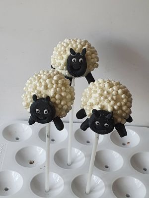 Sheep pops