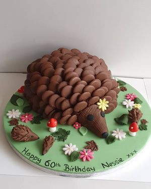 Chocolate Hedgehog