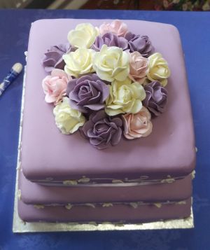 Pastel rose dome