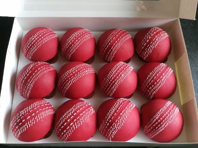 Cricket balls