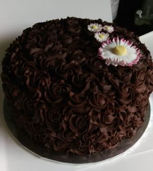 Chocolate swirls & daisies