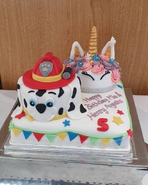 Paw Patrol & Unicorn Joint Celebration