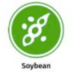 Screenshot 2026-03-04 195537