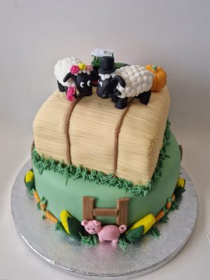 Farmers wedding