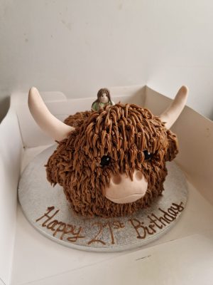 Riding a highland cow