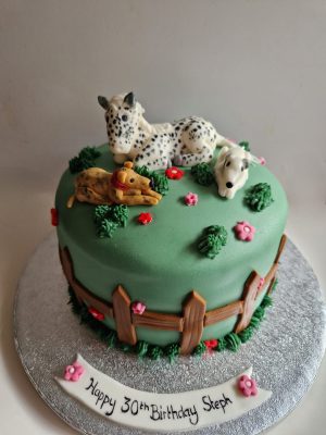Pony & dogs