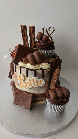 Choc cake & cupcakes